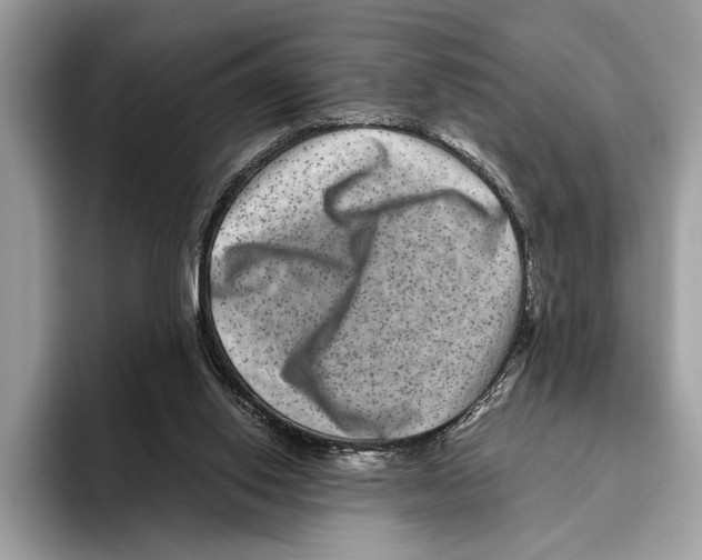 X0000095540062200801111441