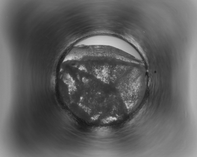 X0000095540063200801111441