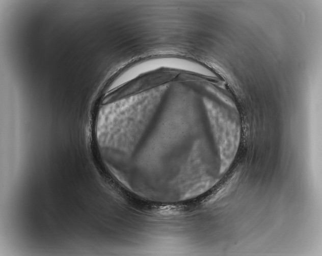 X0000095540064200801111441