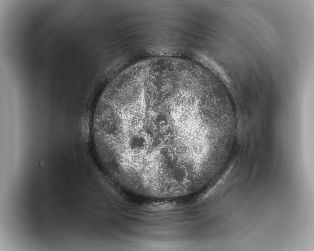 X0000095540065200801111441