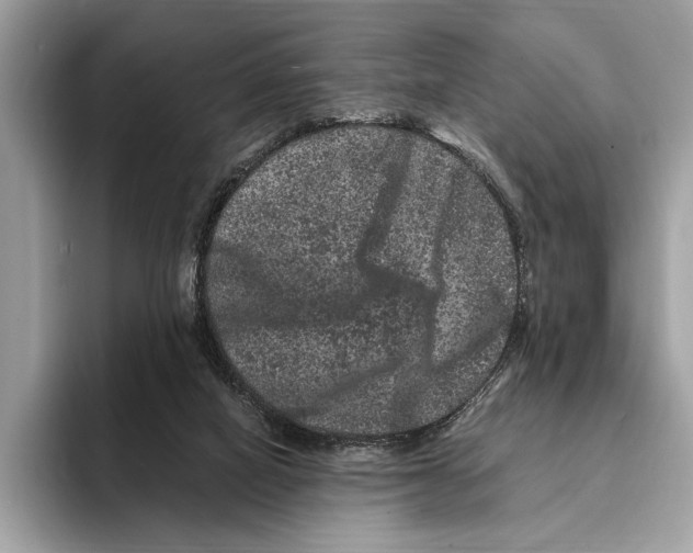 X0000095540066200801111441