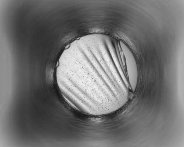 X0000095540071200801111441