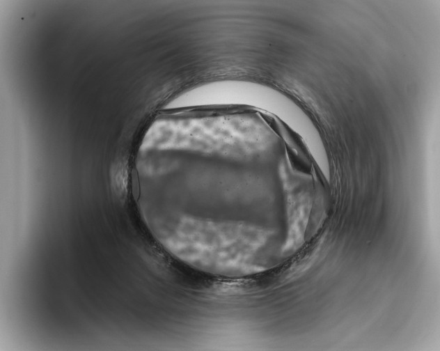 X0000095540072200801111441