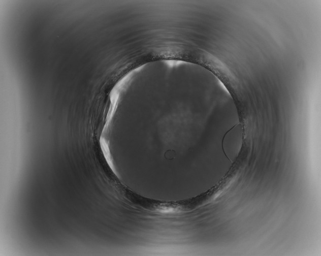 X0000095540073200801111441