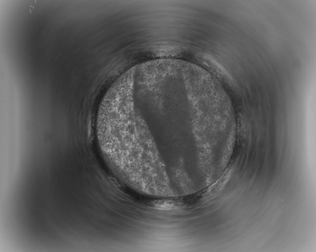 X0000095540074200801111441