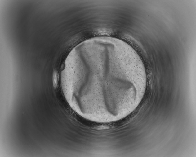 X0000095540075200801111441