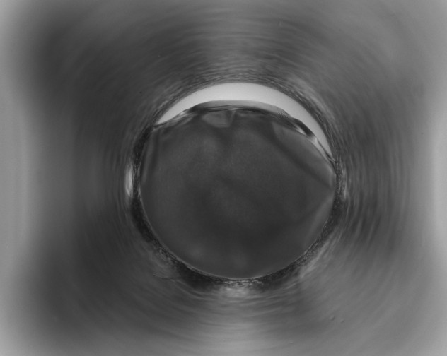 X0000095540076200801111441