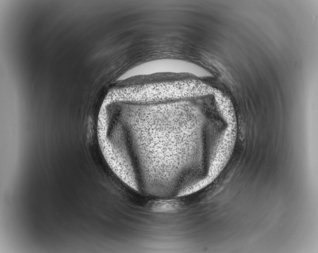 X0000095540077200801111442