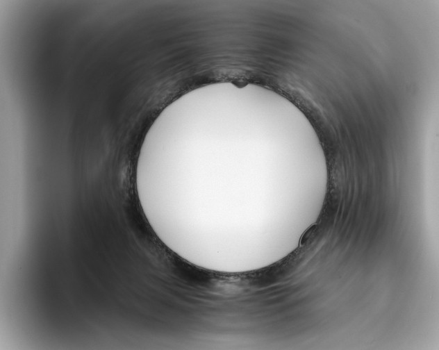 X0000095540079200801111442