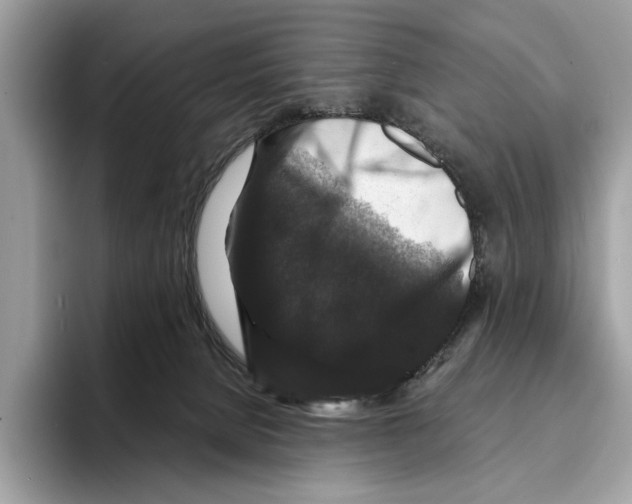 X0000095540080200801111442