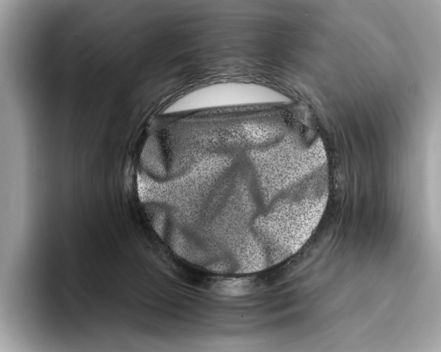 X0000095540081200801111442