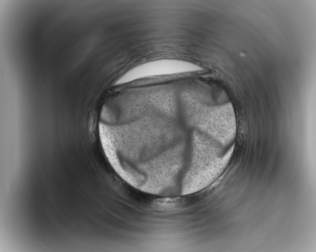 X0000095540082200801111442