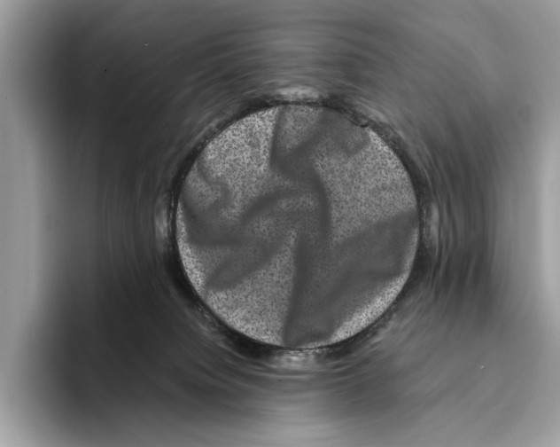 X0000095540084200801111442