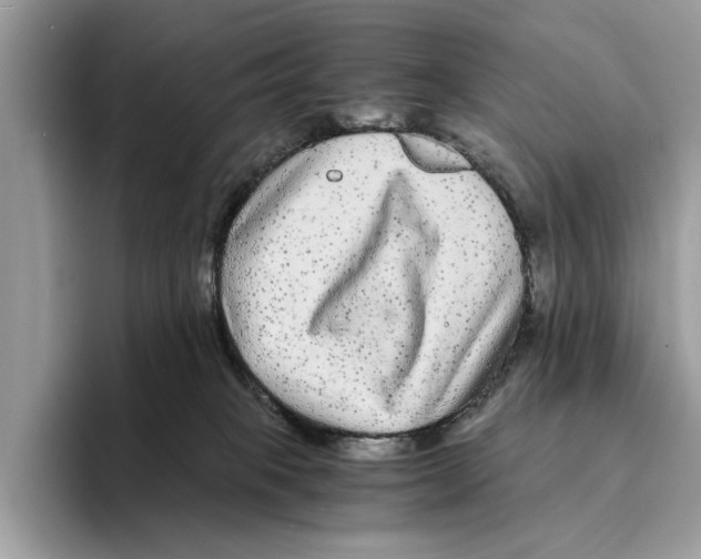 X0000095540085200801111442