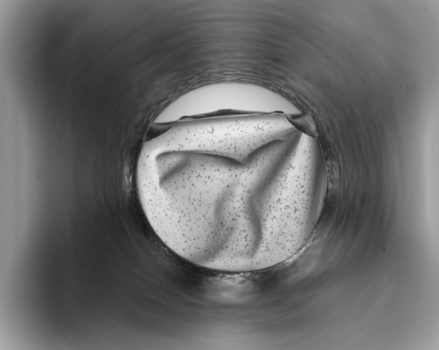 X0000095540086200801111442