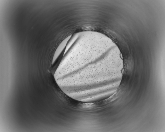 X0000095540090200801111442