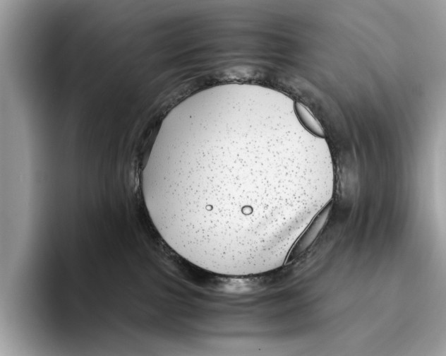 X0000095540091200801111442