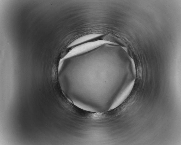 X0000095540092200801111442