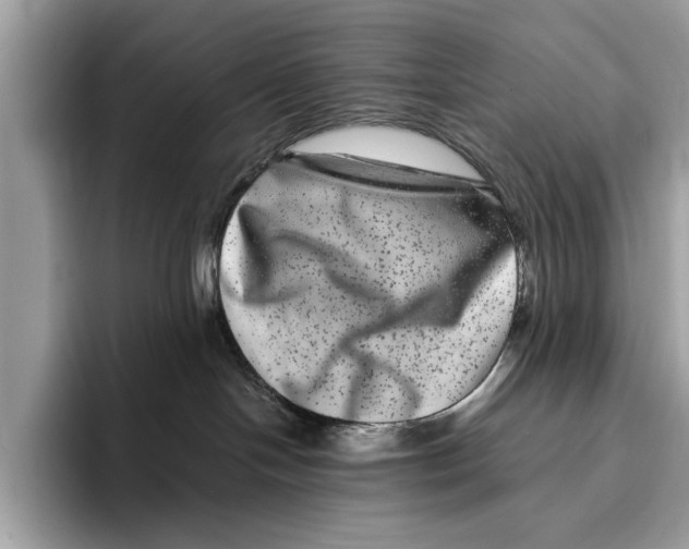 X0000095540094200801111442