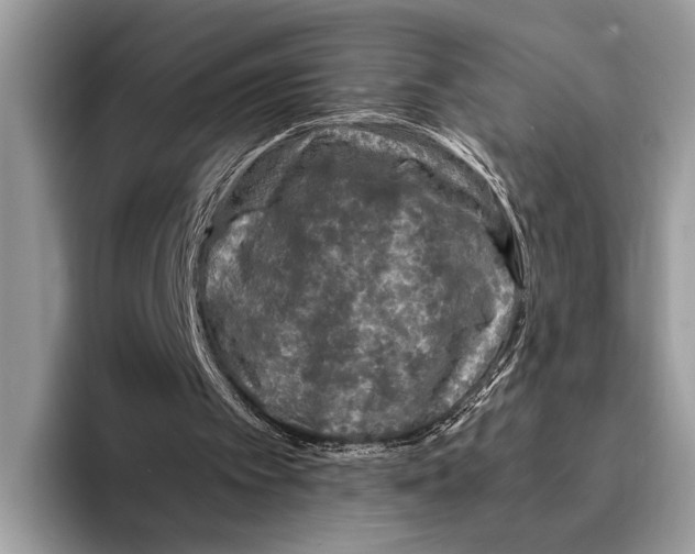 X0000095540097200801111441