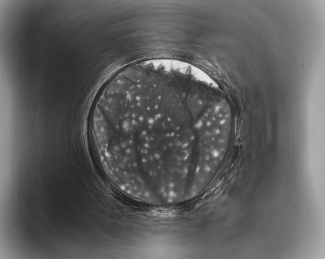 X0000095540099200801111441