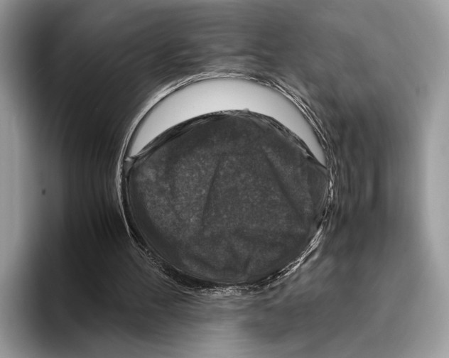 X0000095540100200801111441