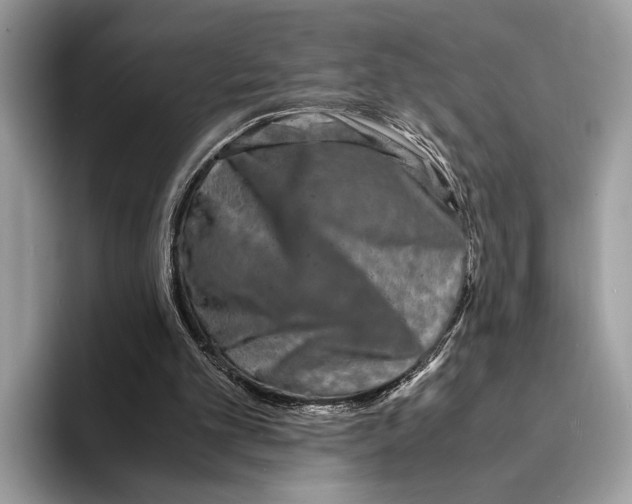 X0000095540101200801111441