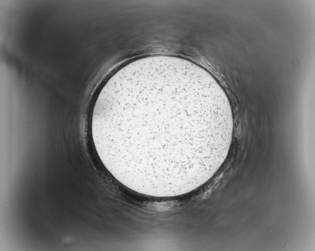 X0000095540103200801111441