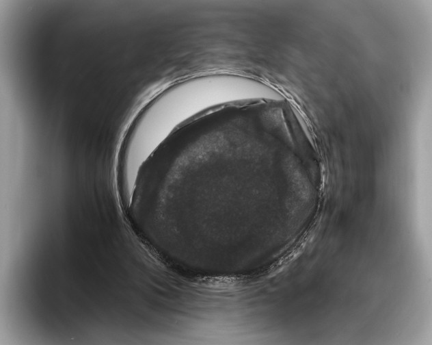 X0000095540104200801111441