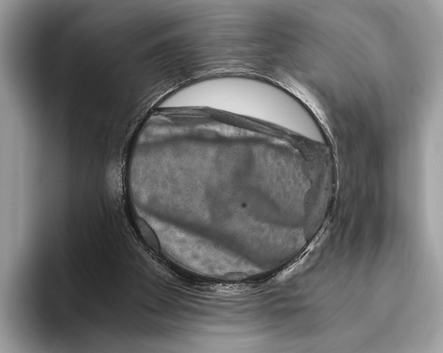 X0000095540105200801111441