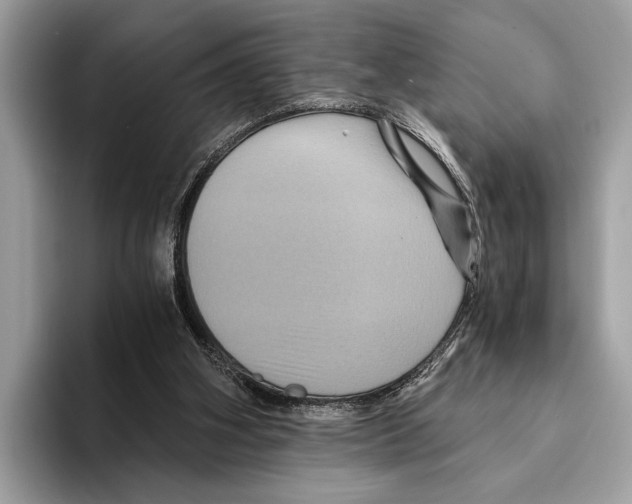 X0000095540106200801111441