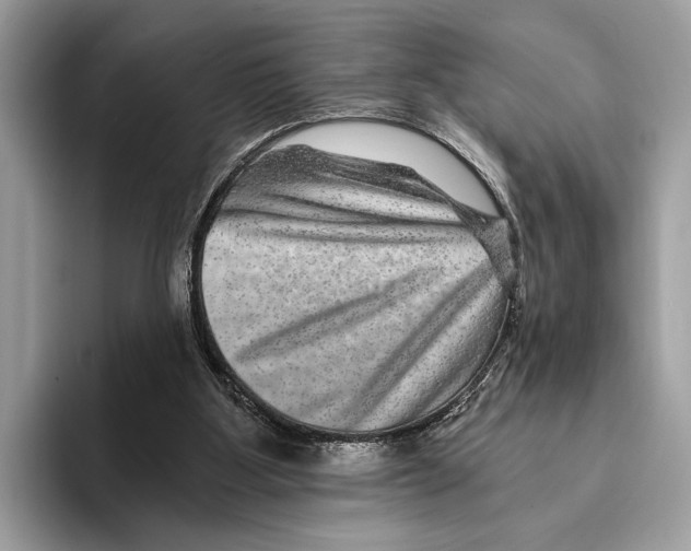 X0000095540107200801111441