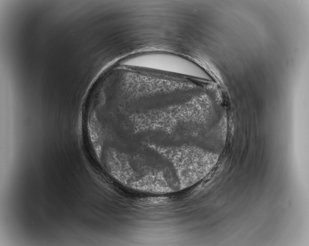 X0000095540108200801111441