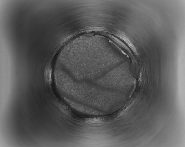 X0000095540110200801111441