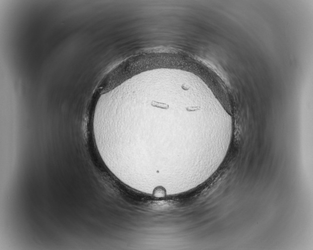 X0000095540111200801111441