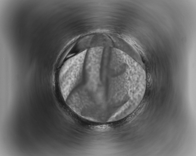 X0000095540112200801111441