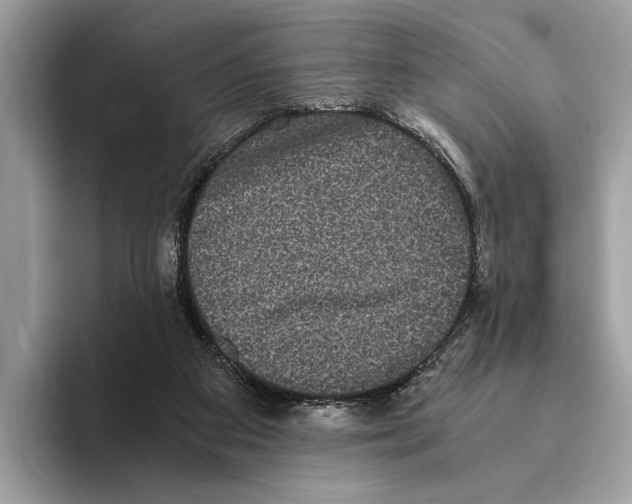 X0000095540113200801111441