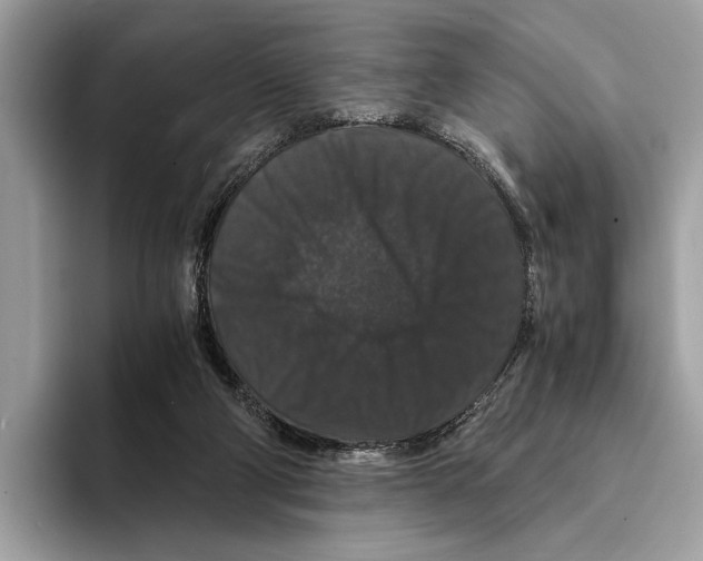 X0000095540114200801111441