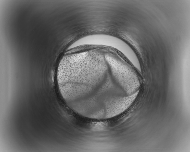 X0000095540115200801111441