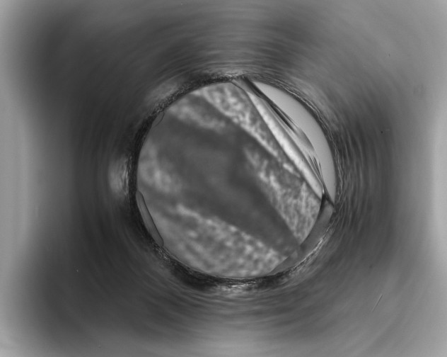 X0000095540120200801111441