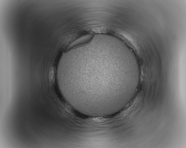 X0000095540121200801111441