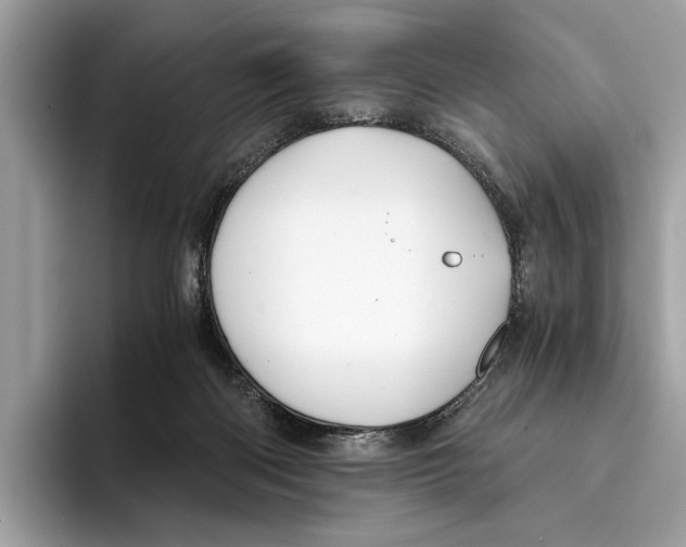 X0000095540122200801111441