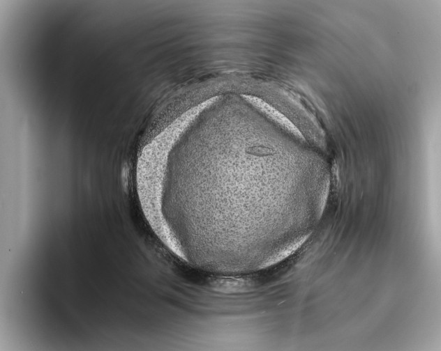 X0000095540123200801111441