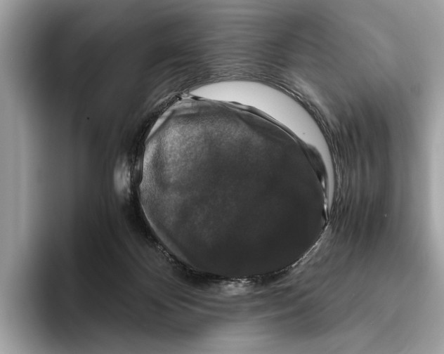 X0000095540124200801111441