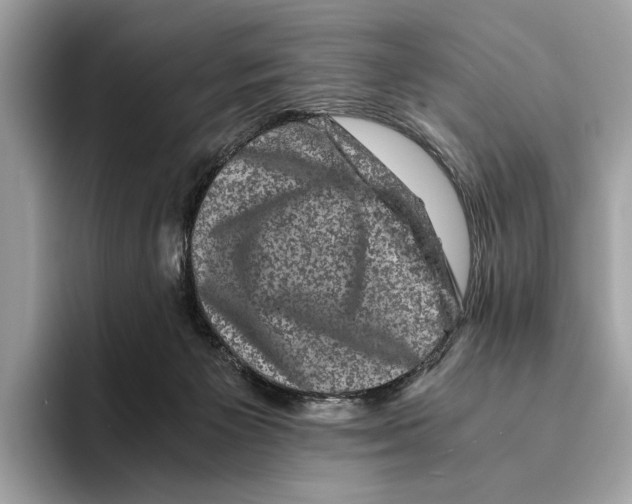 X0000095540125200801111441