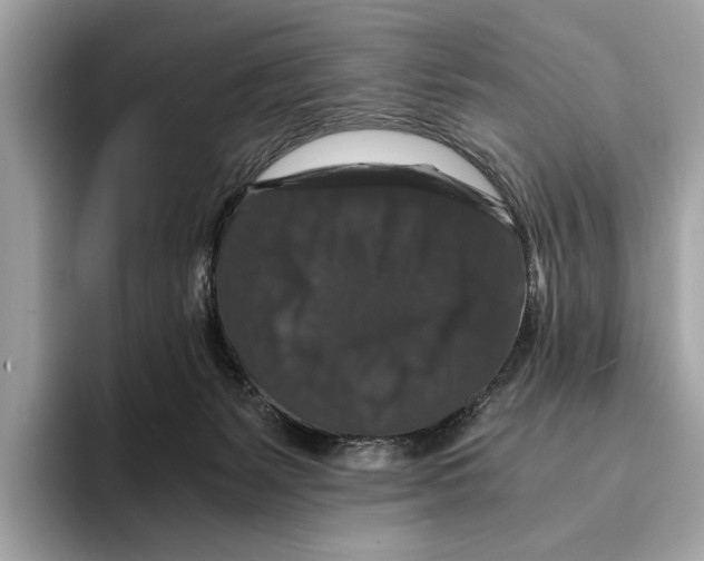 X0000095540127200801111441