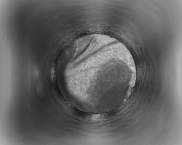 X0000095540130200801111441