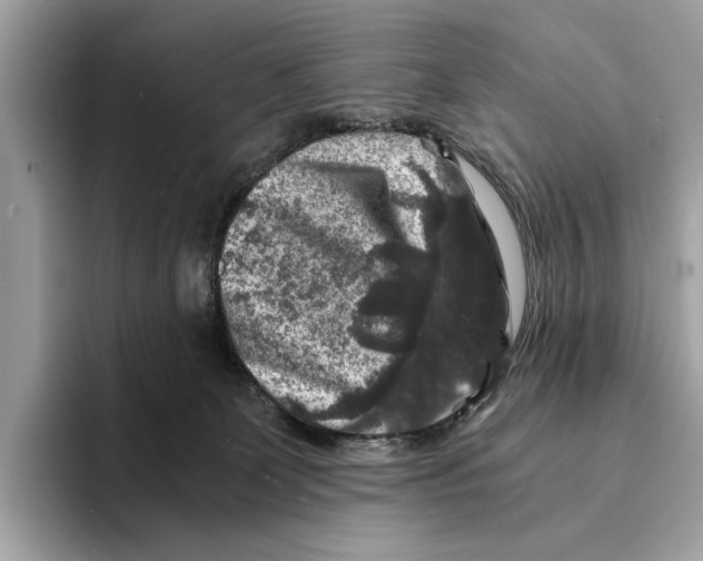 X0000095540131200801111441