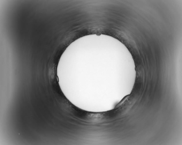 X0000095540133200801111441