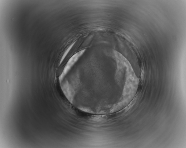 X0000095540136200801111441